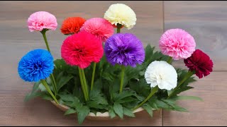 Growing and Propagating Carnations Tips on Pinching Blooming and Dividing for Optimal Plant [upl. by Micah]