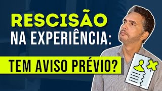 Posso pedir demissão no contrato de experiência explicandoodireito [upl. by Aneeles]