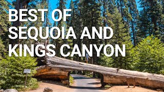 Top Things You NEED To Do In Sequoia amp Kings Canyon National Park [upl. by Ijat404]