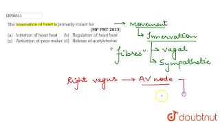 The innervation of heart is primarily meant for [upl. by Atsejam820]