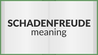 Schadenfreude  meaning of Schadenfreude [upl. by Seligman]