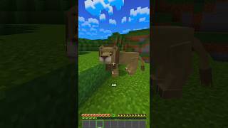 Gaboleh Ketemu Bebek Di Minecraft Tapi Main Game Bebek Bebekan shorts [upl. by Behah]