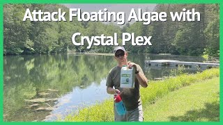 REVIEW Crystal Plex – Lake and Pond Algaecide Treatment [upl. by Neelahs723]