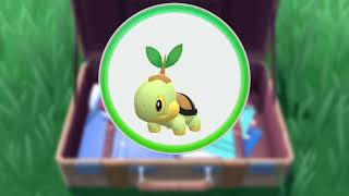 Tortipouss Shiny en 5087 Reset soit 10174 Pokémon vue  Pokémon Diamant Étincelant [upl. by Kacerek15]