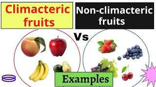 Climacteric Fruits vs Non climacteric me हिंदी में [upl. by Yellac]