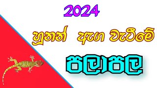 හූනන් ඇග වැටීමේ පලාපල 2024  hunan aga wetime palapala  gecko prediction  hunan agta wetima [upl. by Ibrik]