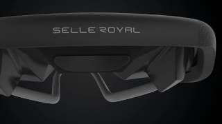 Selle Royal Lookin [upl. by Mcconaghy]