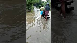 Flood in AymanamKottayam [upl. by Adnical]