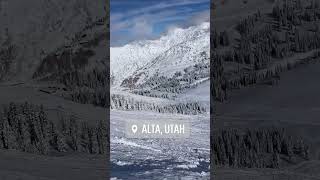 ALTA Ski Resort UTAH [upl. by Ardenia]