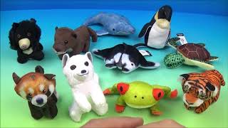 2018 NATIONAL GEOGRAPHIC FULL SET OF 10 McDONALDS HAPPY MEAL PLUSH COLLECTION VIDEO REVIEW [upl. by Enal67]