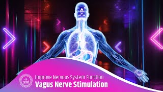 Vagus Nerve Stimulation Improve Parasympathetic Nervous System Function Calming Meditation Music [upl. by Niar831]