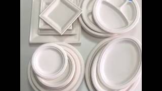 Disposable Compostable Sugarcane Bagasse Biodegradable Plates [upl. by Lindner]