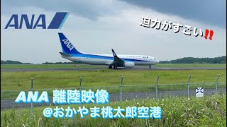 【迫力満点💯】ANA離陸を滑走路間近から✈️  おかやま桃太郎空港のご紹介 [upl. by Esaertal]