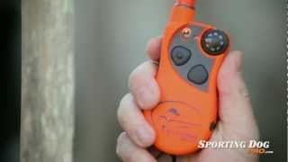 SportDOG Upland Hunter 1875  Dog Training Collar amp Beeper Review [upl. by Akerdnuhs617]