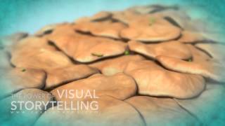 Rosacea Treatment Mode of Action Animation [upl. by Elyssa227]