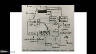 Anaerobic Digestion Steps [upl. by Ynnelg]