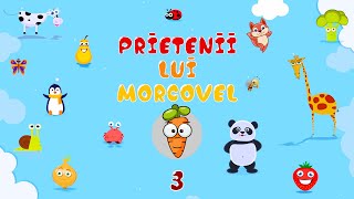 Sa Invatam Cu Morcovel  Prietenii Lui Morcovel Episodul 3 [upl. by Aseretairam]