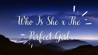 Who Is She x The Perfect Girl 1 Hour [upl. by Gant295]