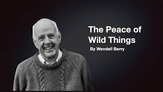 The Peace of Wild Things By Wendell Berry [upl. by Corette]