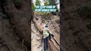 The Climb Up From Sahalie Falls Worth It hiking hike outdoors nature shorts pnw mthood fyp [upl. by Anerec]