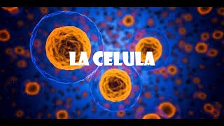 Histología C2  La Célula  Protoplasma Carioplasma [upl. by Louise]