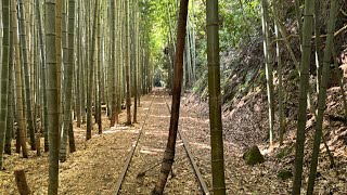 スタンドバイミー気分を味わえる日本一美しい廃線跡を歩いてみた【The most beautiful abandoned railroad site in Japan】 [upl. by Nadirehs]