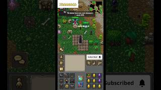 TibiaME  LVL UP 258 Evento Double xp games tibiagame gameplay tibia [upl. by Zerimar]