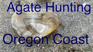 Agate Hunting on the Oregon Coast [upl. by Ezekiel]