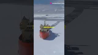 Арктика Ледокол который изменил мир катера факты facts boat ship арктика ледокол наука [upl. by Imugem]