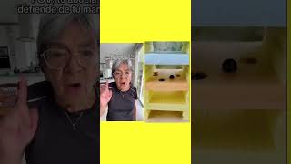 POV tu abuela te defiende de tu mamá federicomillan [upl. by Johm670]