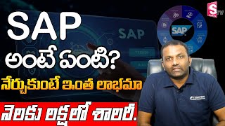 SAP Course Job Opportunities in Telugu  4 Best SAP Online Platforms for fresher and experienced [upl. by Jard]