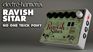 ElectroHarmonix Ravish Sitar Emulator quotNo One Trick Ponyquot Guitar Effects Pedal [upl. by Friedlander]