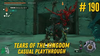 Lynel Coliseum  LoZTotK Casual Playthrough 190 [upl. by Anawk]