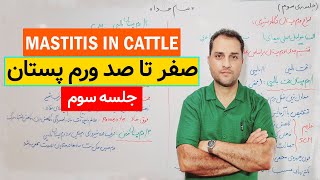 All about mastitis types of mastitis in dairy cows [upl. by Louella]