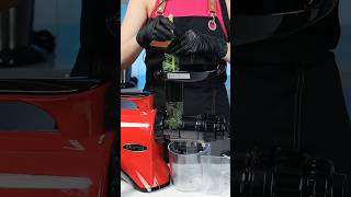 Kale Juicing Made easy with Omega Juicer NC900  Quick Guide [upl. by Eilyah]