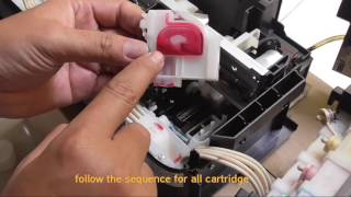 How to Change Ink type on Epson L300 [upl. by Nore551]