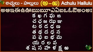 Telugu Aksharalu అఱ  TELUGU Varnamala Full aa to rra  Telugu Achulu Hallulu Latest update 2023 [upl. by Drofiar]