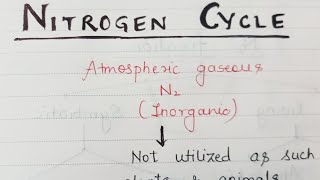 Biogeochemical Cycle Nitrogen Cycle [upl. by Sabah798]