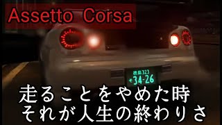 【Assetto Corsa】俺はただ速さを求めているだけなんだ [upl. by Rekyr634]