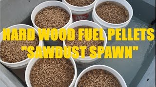 WTF VLOG  21 HARDWOOD FUEL PELLETS  SAWDUST SPAWN [upl. by Sucramaj654]