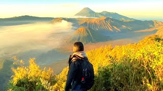 mount bromo experience bromo tengger semeru national park experience [upl. by Marney]