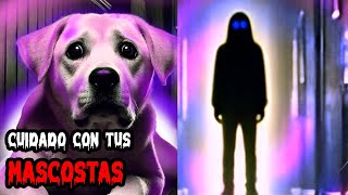 3 HISTORIAS de TERROR con mascotas  Historia Real [upl. by Marcella753]