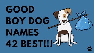 Good Boy Dog Names  42 AMAZING IDEAS  Names [upl. by Gayle]