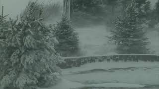 Epic Snowstorm  10 Hours Version  Howling Blizzard Sounds  Heavy Wind  Perfect Sounds For Sleep [upl. by Merete]