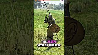 TOP 5 Infantry units in Mount and Blade 2 Bannerlord gaming [upl. by Elaynad]