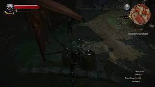 Witcher 3 Get Junior Secret Passage Without Failing Quest [upl. by Gwenette]