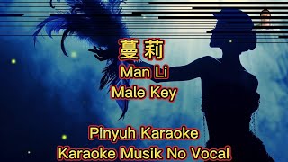 Man Li  曼丽  Karaoke  Musik No Vocal [upl. by Nolyk959]