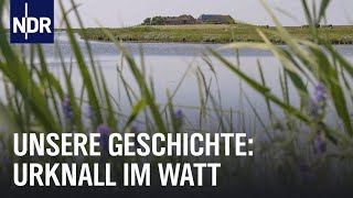 Wattenmeer Als die Umwelt wichtig wurde  Unsere Geschichte  NDR Doku [upl. by Enyamert]