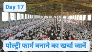 Day 17 of Broiler Poultry Farming  Broiler Chicken Farming  Poultry Farm Cost [upl. by Trotter]