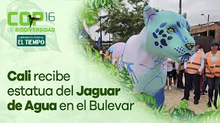 Cali recibe icónica estatua del Jaguar de Agua en el Bulevar de Oriente  El Tiempo [upl. by Yenruogis386]